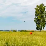 Im Skandinavischen Stil Ferienhaus Rechlin