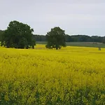 Im Skandinavischen Stil Ferienhaus *