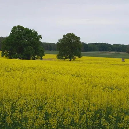 Im Skandinavischen Stil Casa vacanze *